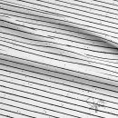 Ep BIO French Terry - STRIPES #weiss/schwarz